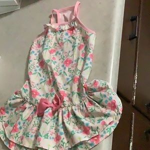 Size large doggie dress